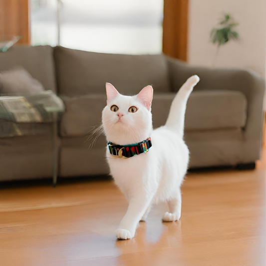 Hoe strak moet een halsband van een kat?