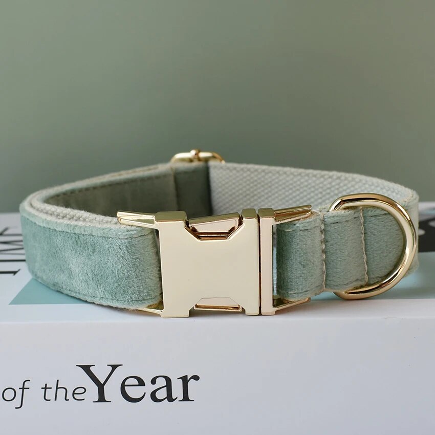 Gepersonaliseerde hondenhalsband mint groen