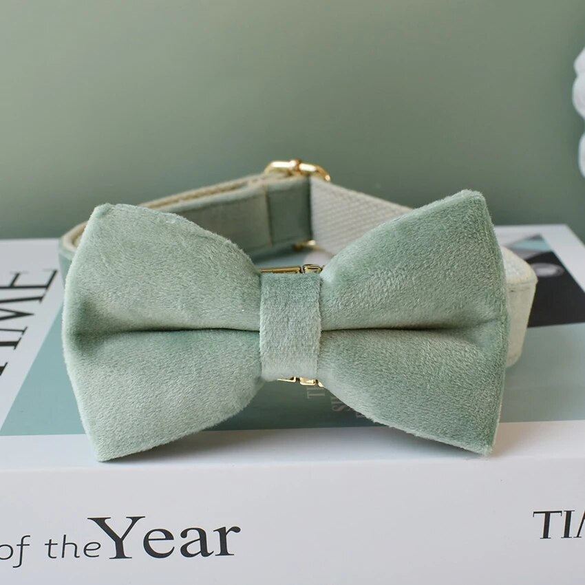 Gepersonaliseerde hondenhalsband mint groen