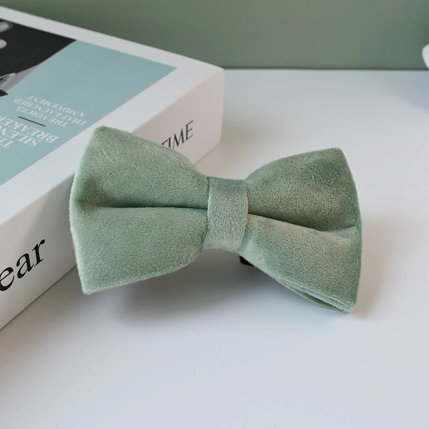 Gepersonaliseerde hondenhalsband mint groen