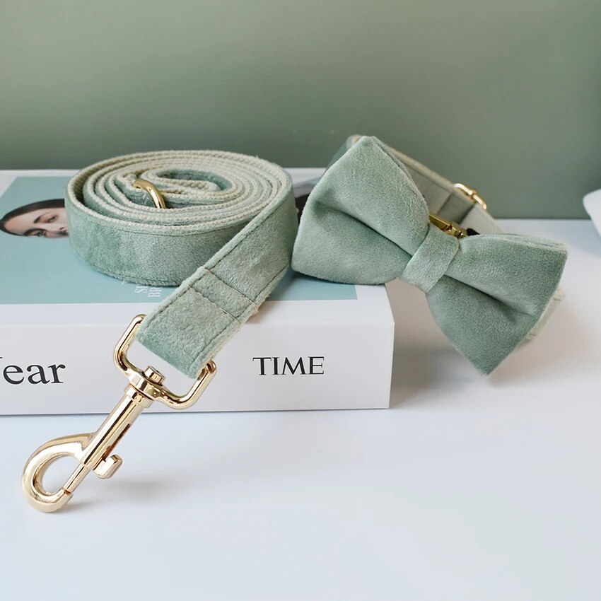 Gepersonaliseerde hondenhalsband mint groen