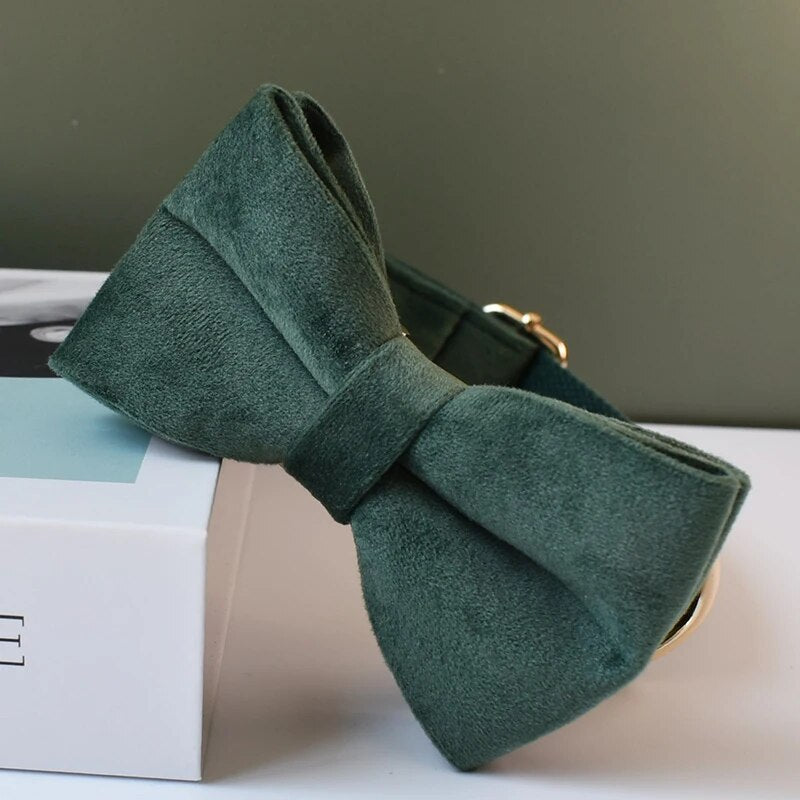 Gepersonaliseerde hondenhalsband donkergroen
