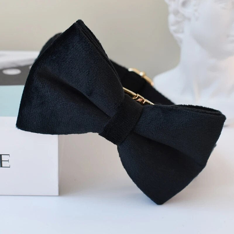 Gepersonaliseerde hondenhalsband zwart