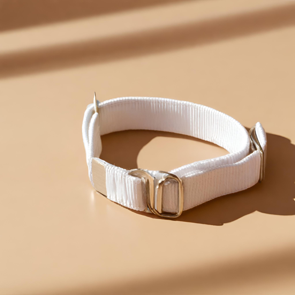 Hoe strak moet een halsband van een hond?